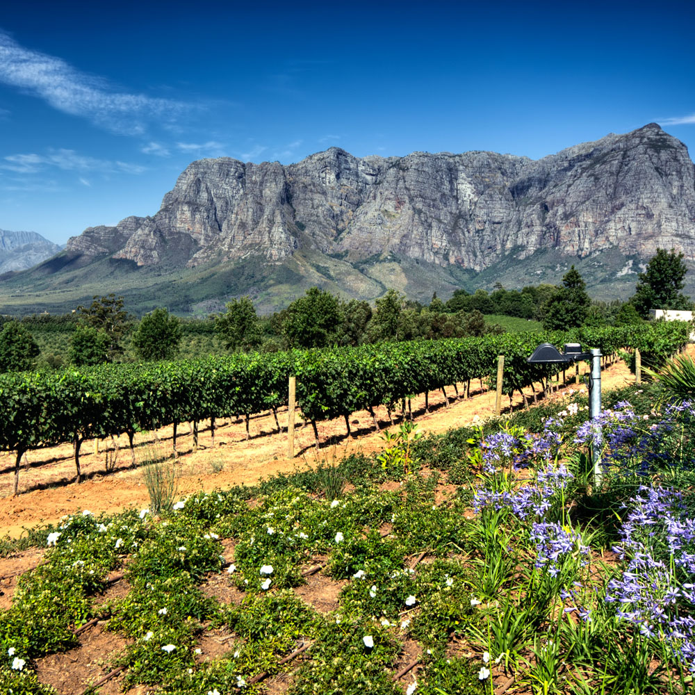 atelier viaggi elena capuzzi