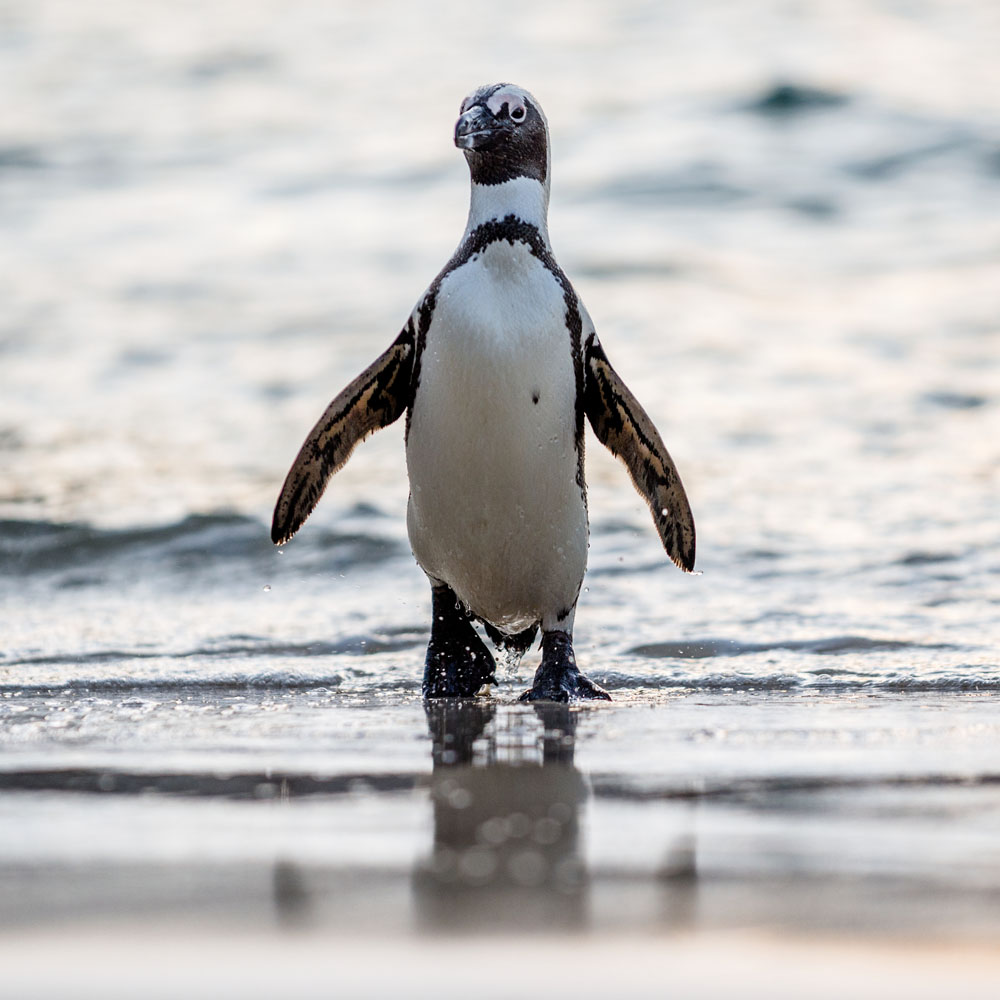 atelier viaggi elena capuzzi