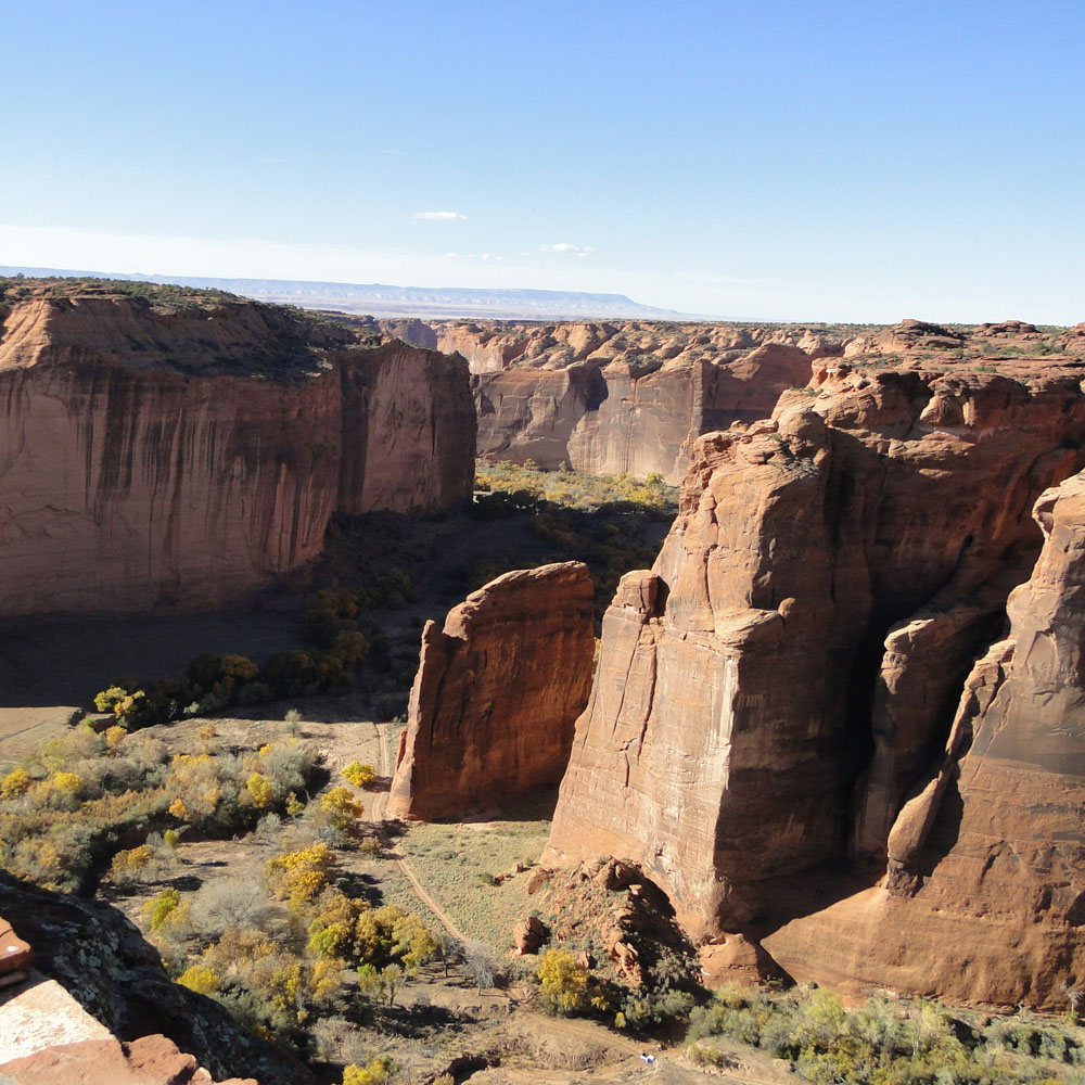 atelier viaggi elena capuzzi