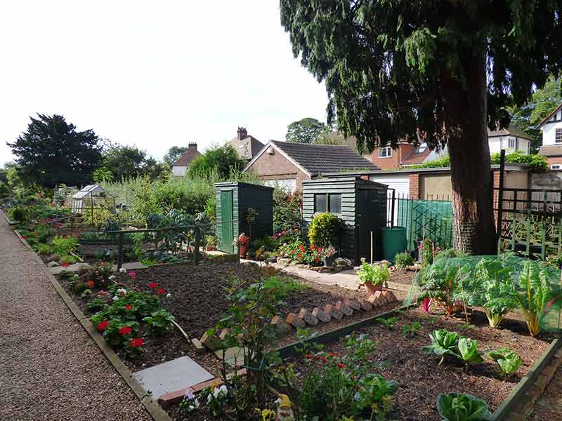 Allotments