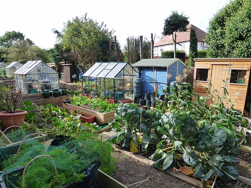 Allotments