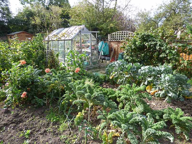Allotments