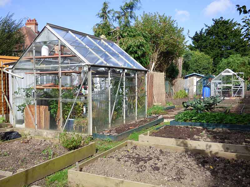 Allotments