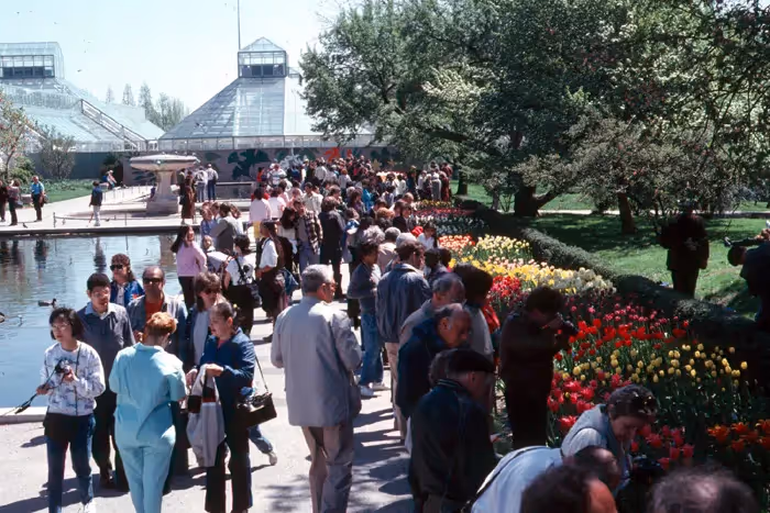 Brooklyn Botanic Garden