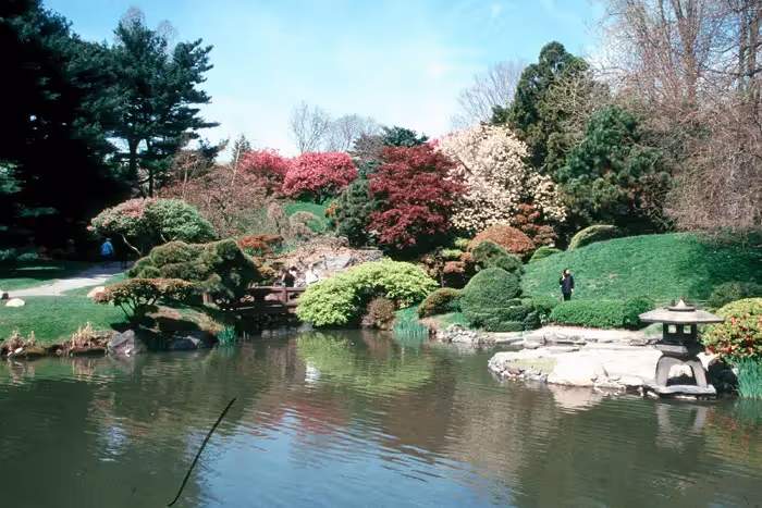 Brooklyn Botanic Garden