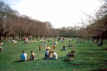 Brooklyn Botanic Garden