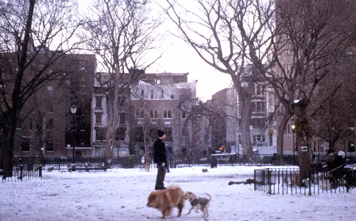 Tompkins Square Park
