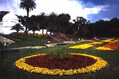 Golden Gate Park