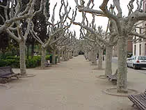 Parc de la Ciutadella
