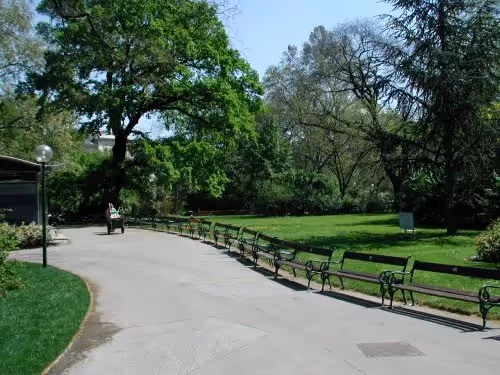 Rathaus Park - City Hall Park