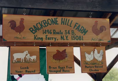 Ithaca Farmers Market