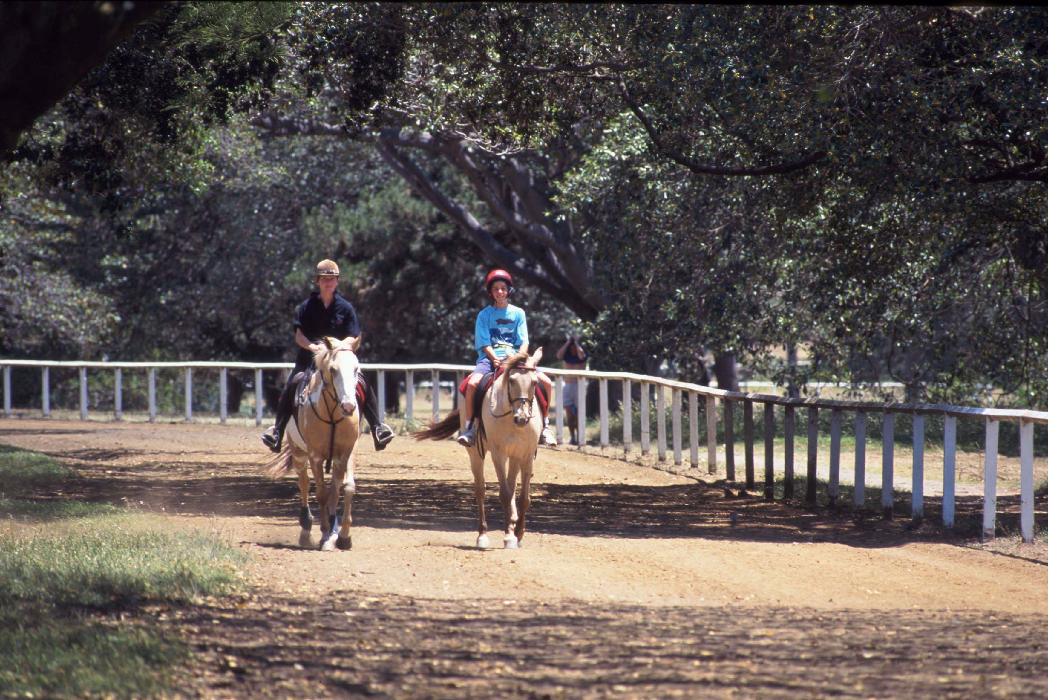 Centennial Park, Sydney