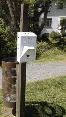 Washington & Old Dominion (W&OD) Bike Trail