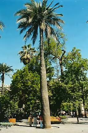 Plaza de Armas and Mercado Central