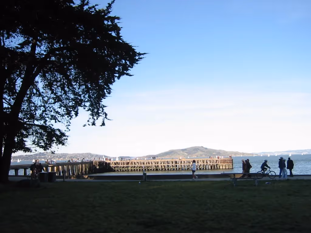 Crissy Field