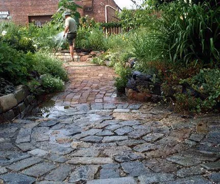 Green Dome - A Volunteers Garden