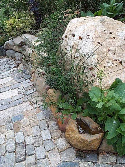 Green Dome - A Volunteers Garden