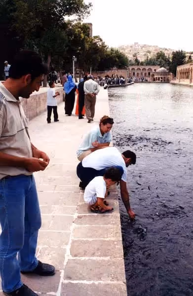 Dergah Park and Mosque Complex