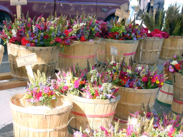 Bloomington Community Farmers Market