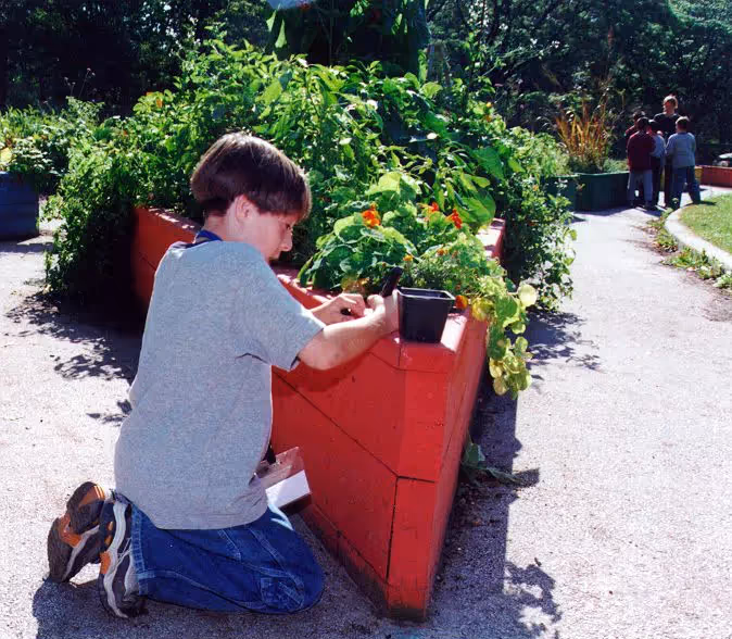High Park Children's Garden