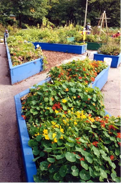 High Park Children's Garden