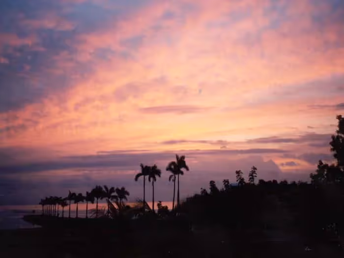 Charles Deering Estate at Cutler