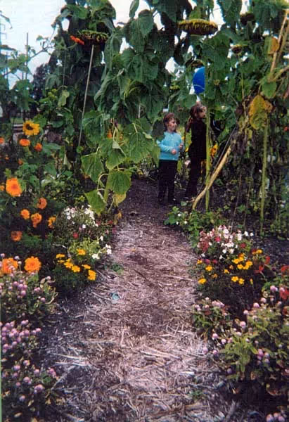 Hull Park and Grand Traverse Children's Garden and Learning Garden