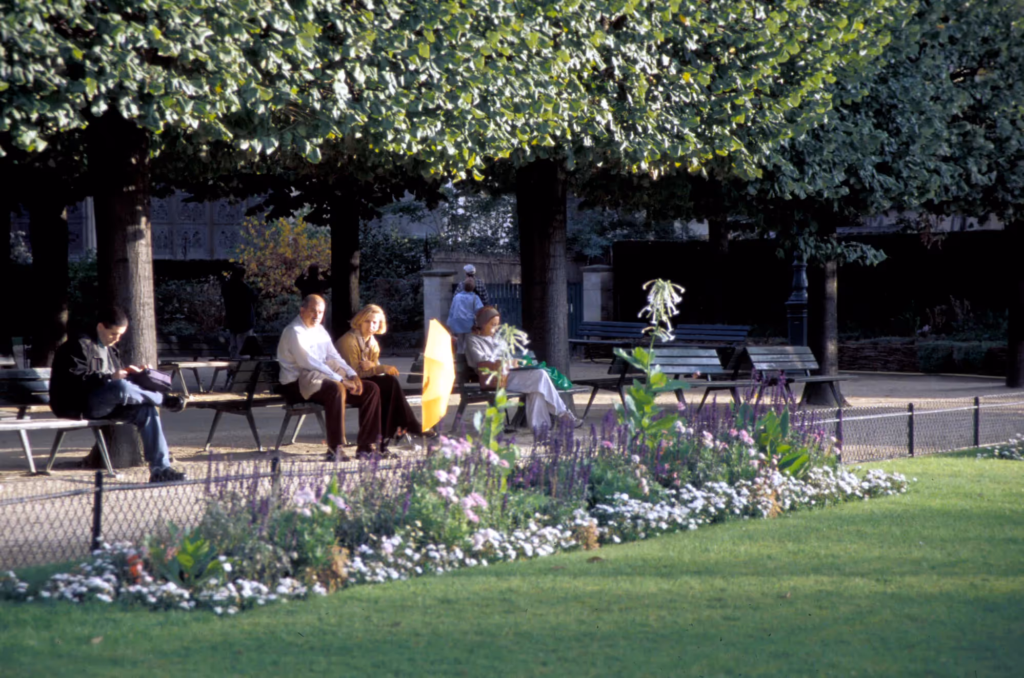 Cathedral Notre-Dame