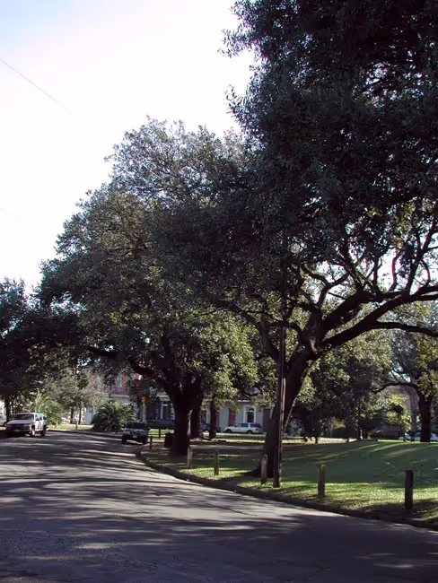 Lower Garden District