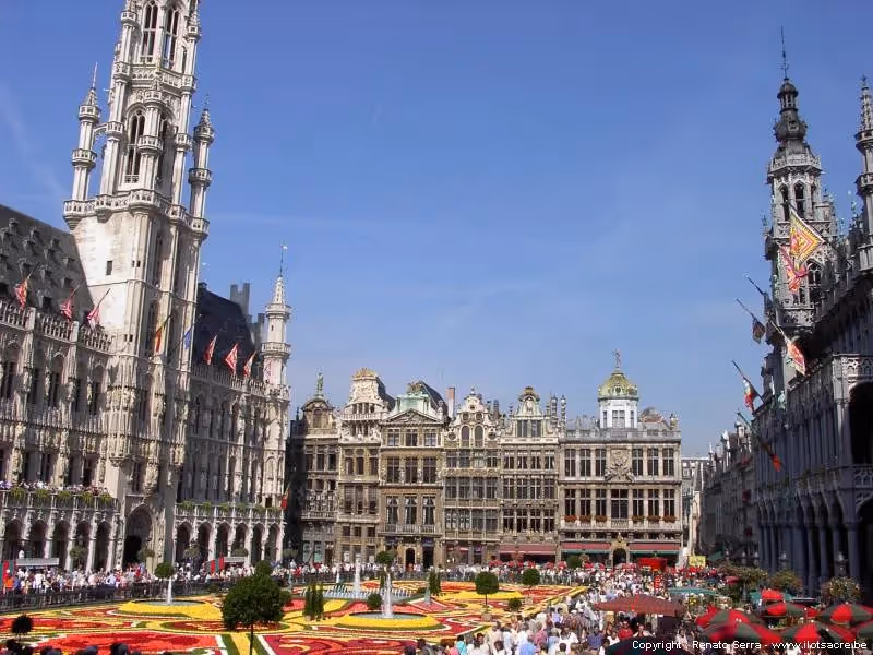 Grand Place (De Grote Markt)