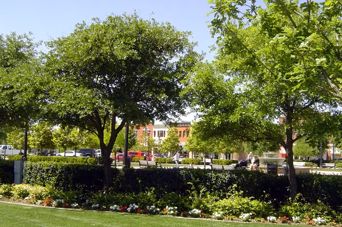 Southlake Town Square