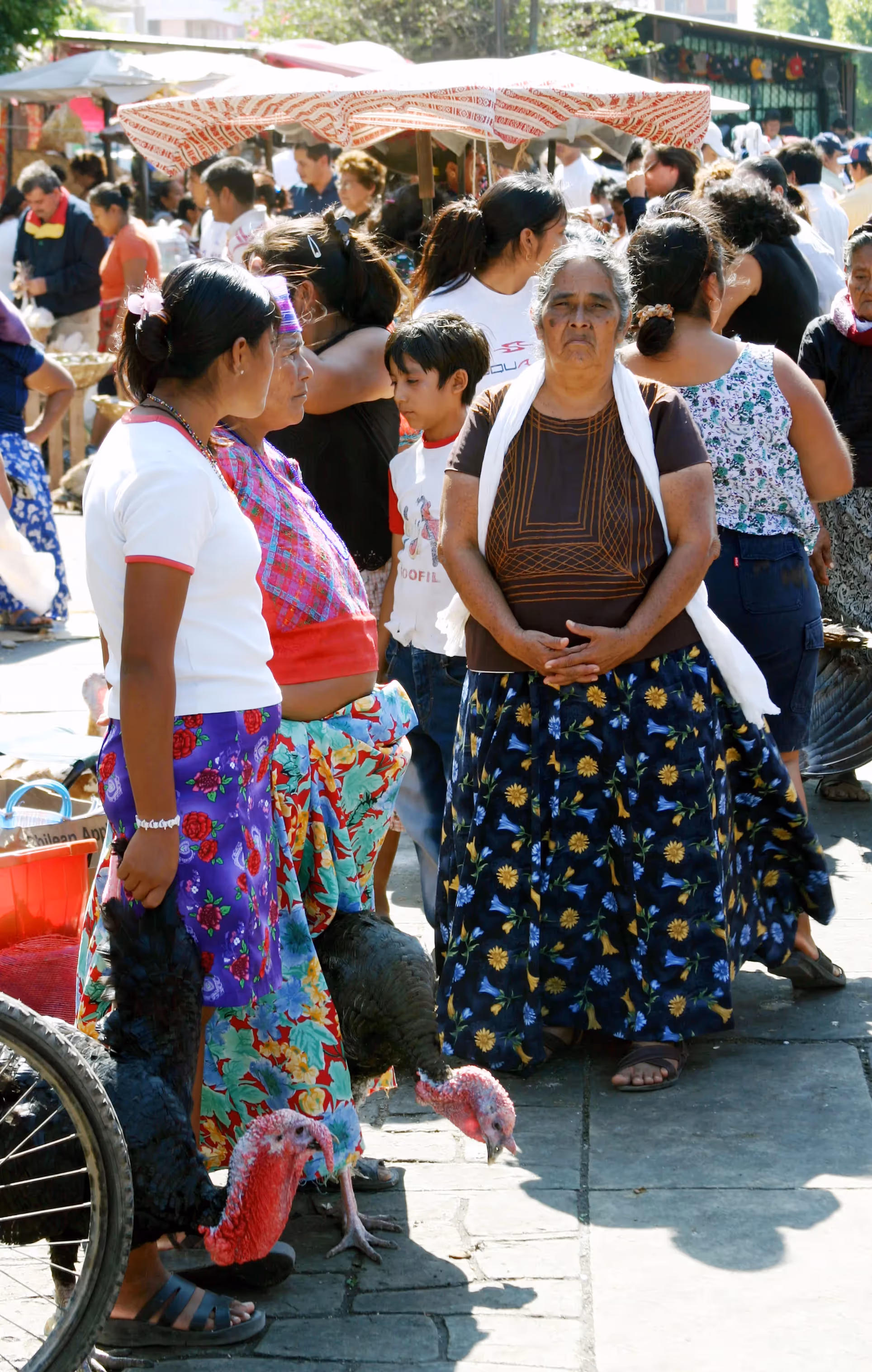Jardin Juarez and Market Hall