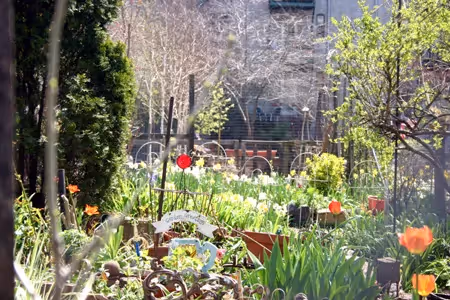 Alphabet City Community Gardens
