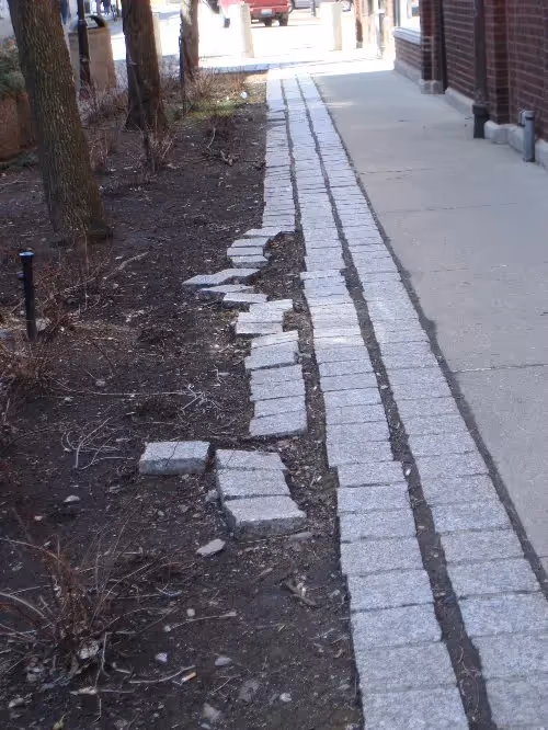 Marion St. Pedestrian Mall