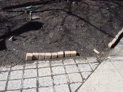 Marion St. Pedestrian Mall