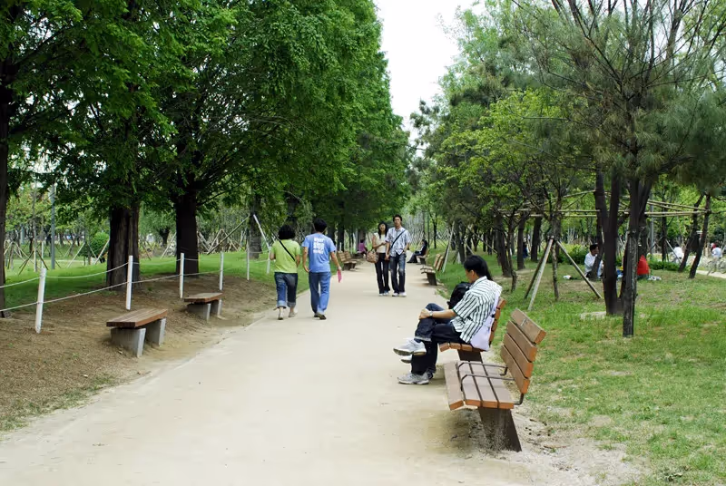 Seoul Forest Park