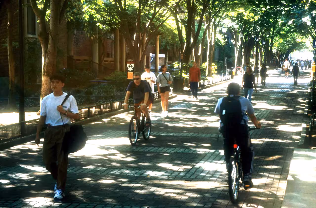 Locust Walk