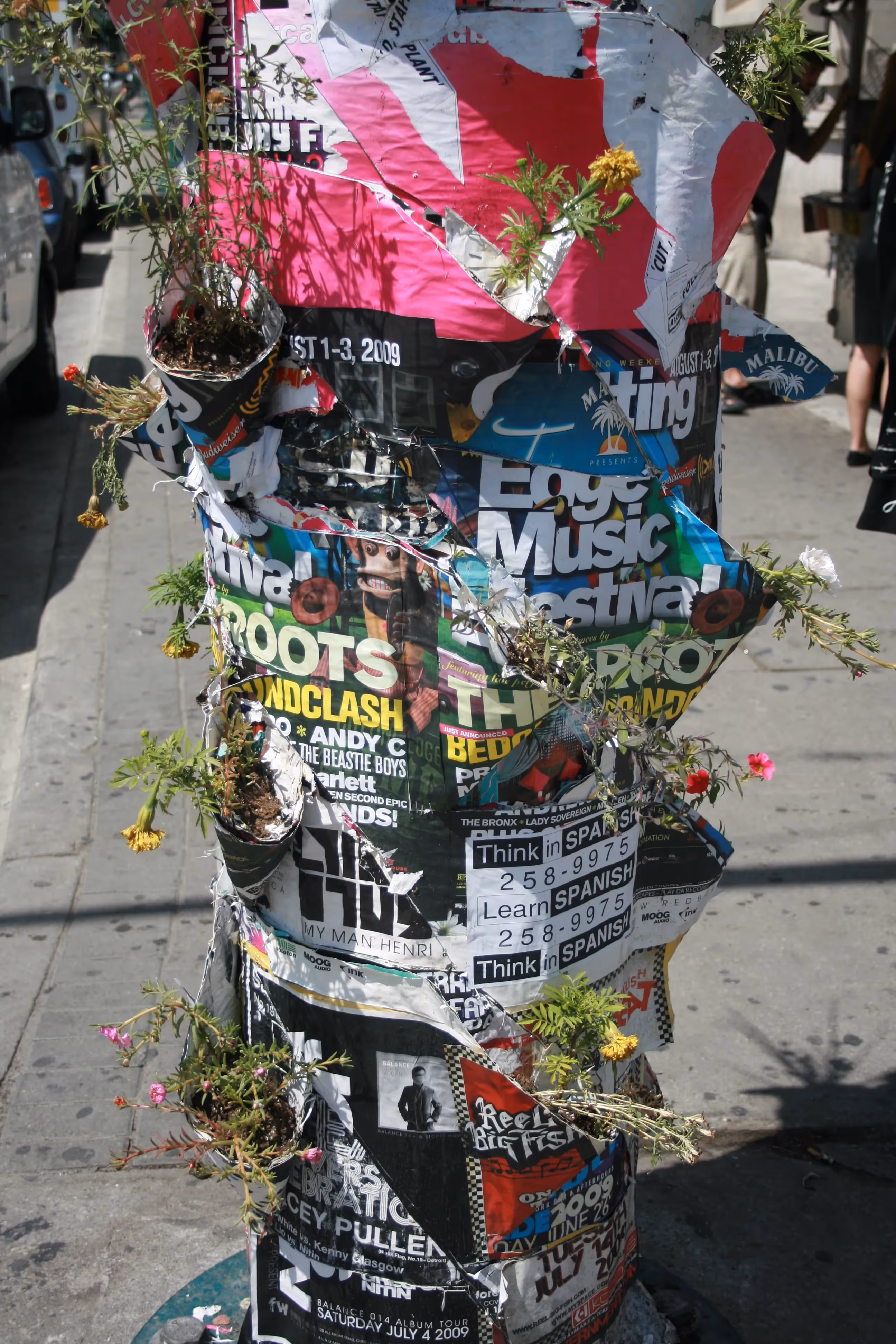 Poster Pocket Plants