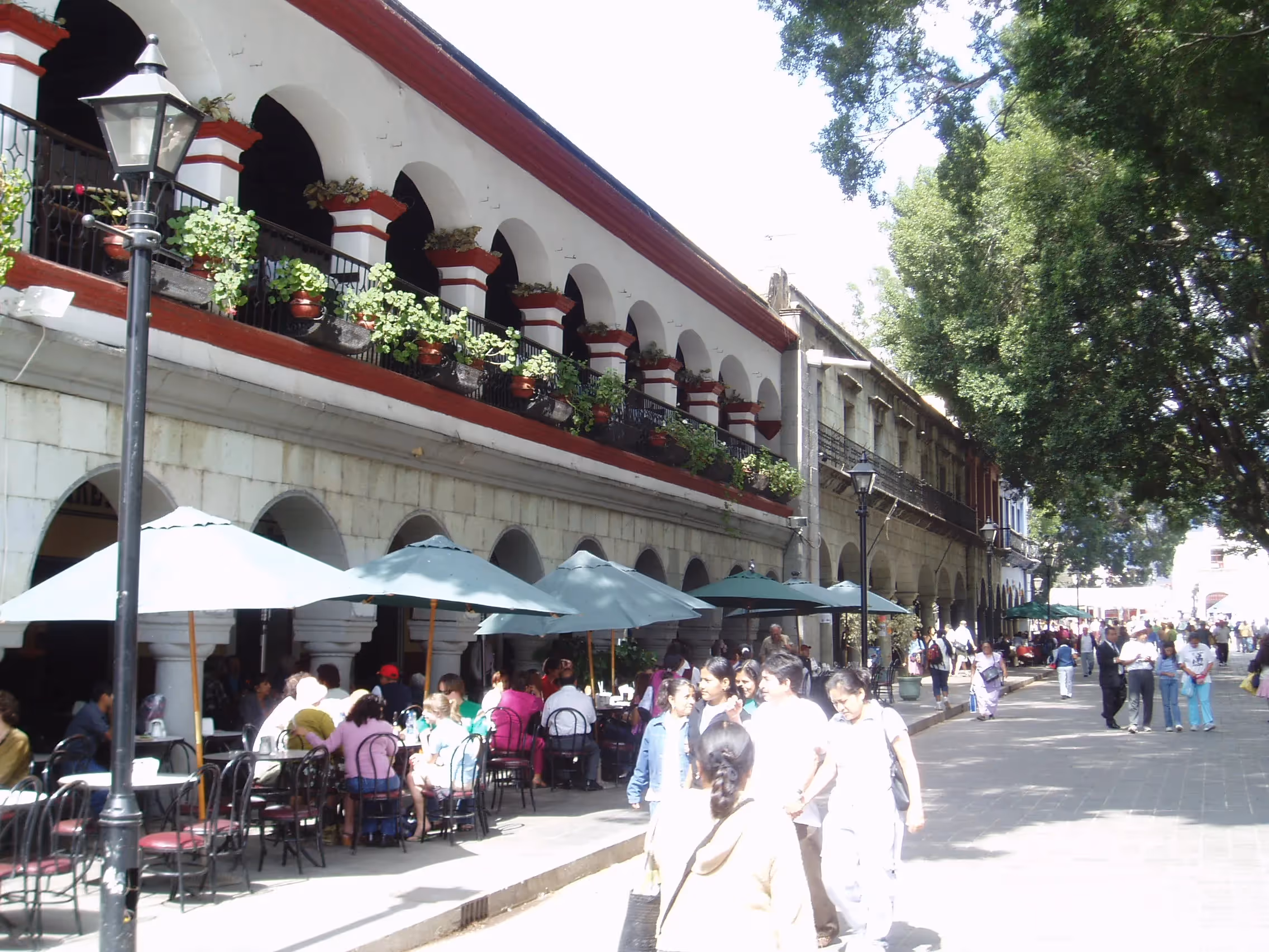 Plaza de la Constitución de Oaxaca (Zócalo)