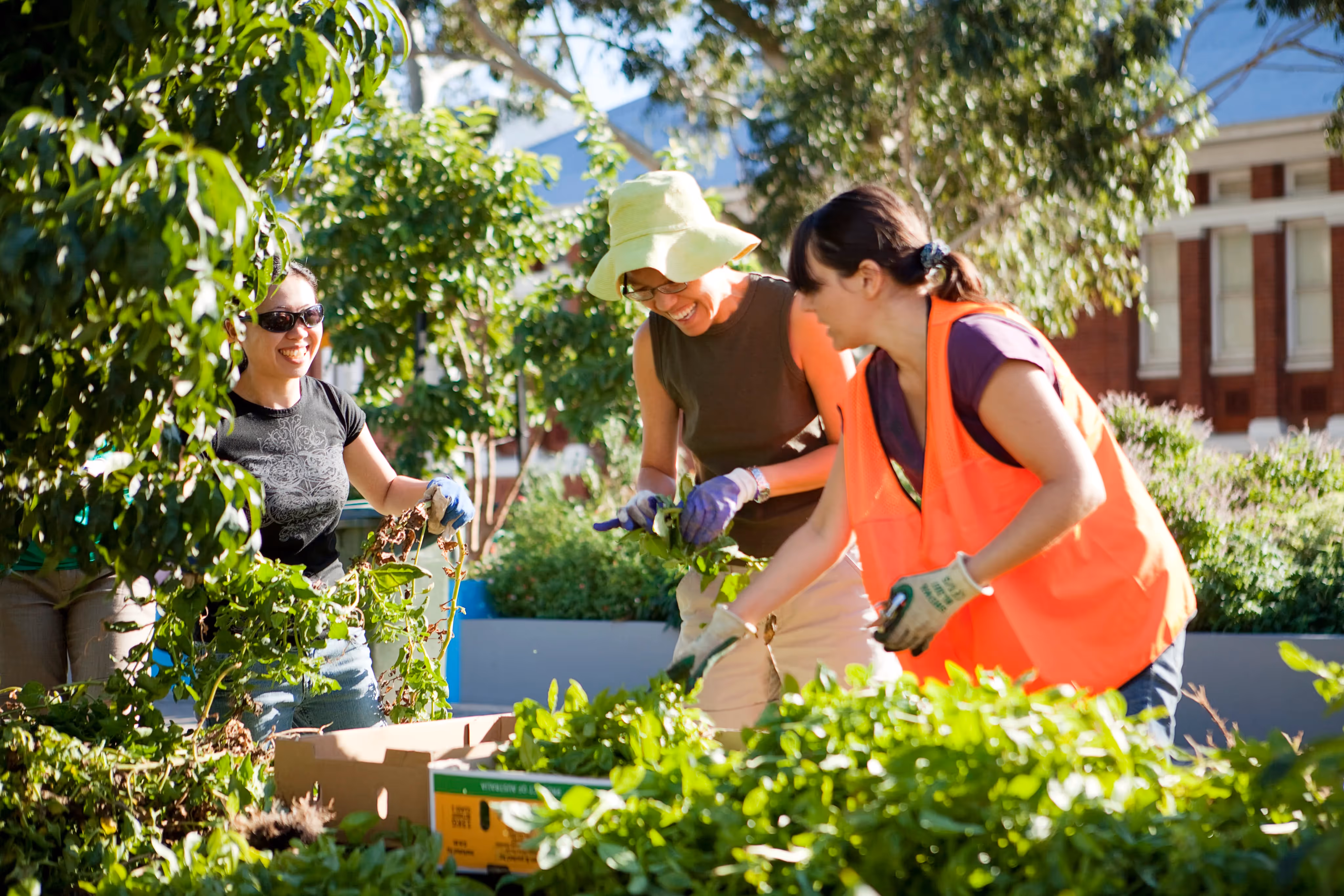 Perth Cultural Centre