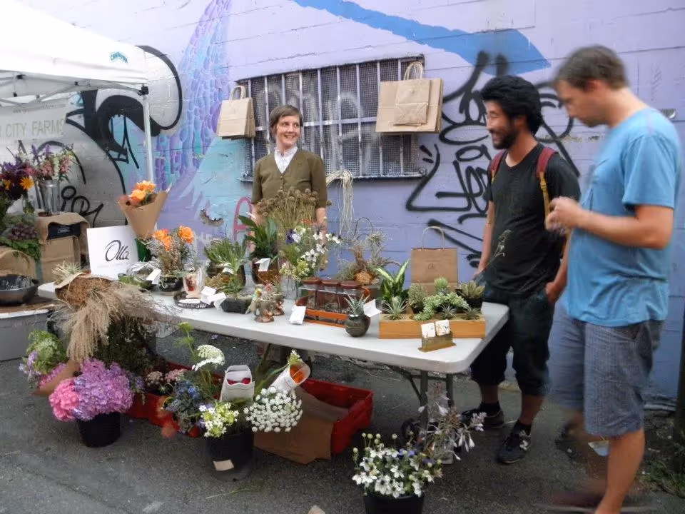 Livable Laneways Project