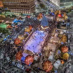 Looking Back on 2012...and On to 2013, the Year of the Zealous Nut!