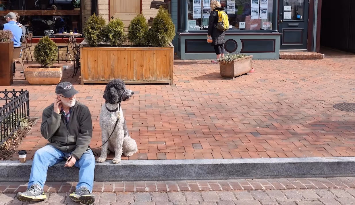 Placemaking and the Human Scale City