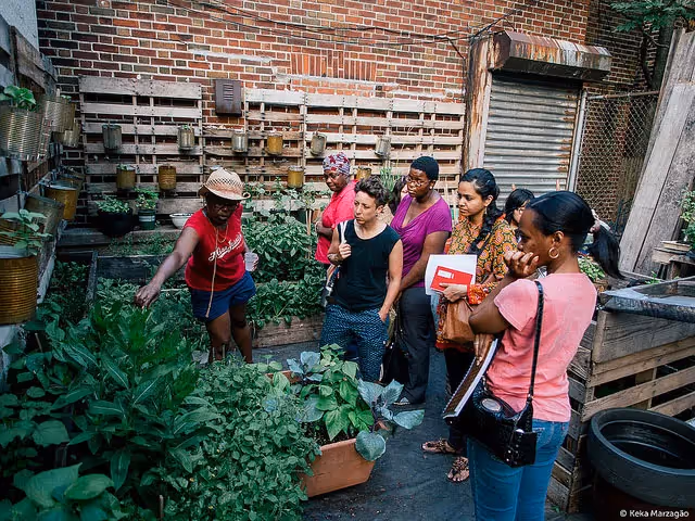 Beyond Food: Community Gardens as Places of Connection and Empowerment
