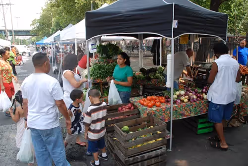 East New York Farms!: What It Takes to Be a Great Market