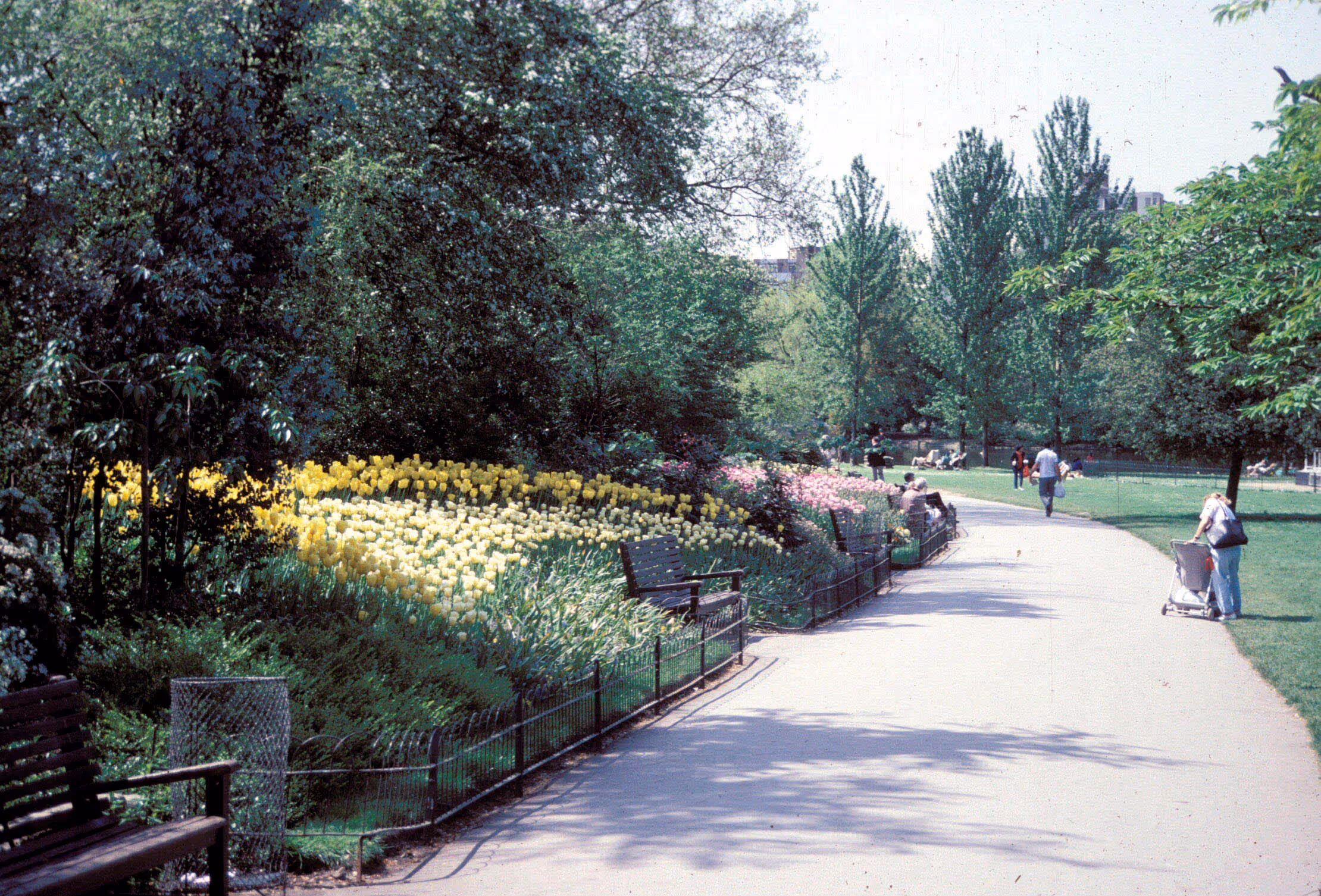 Private Gardens vs. Public Parks