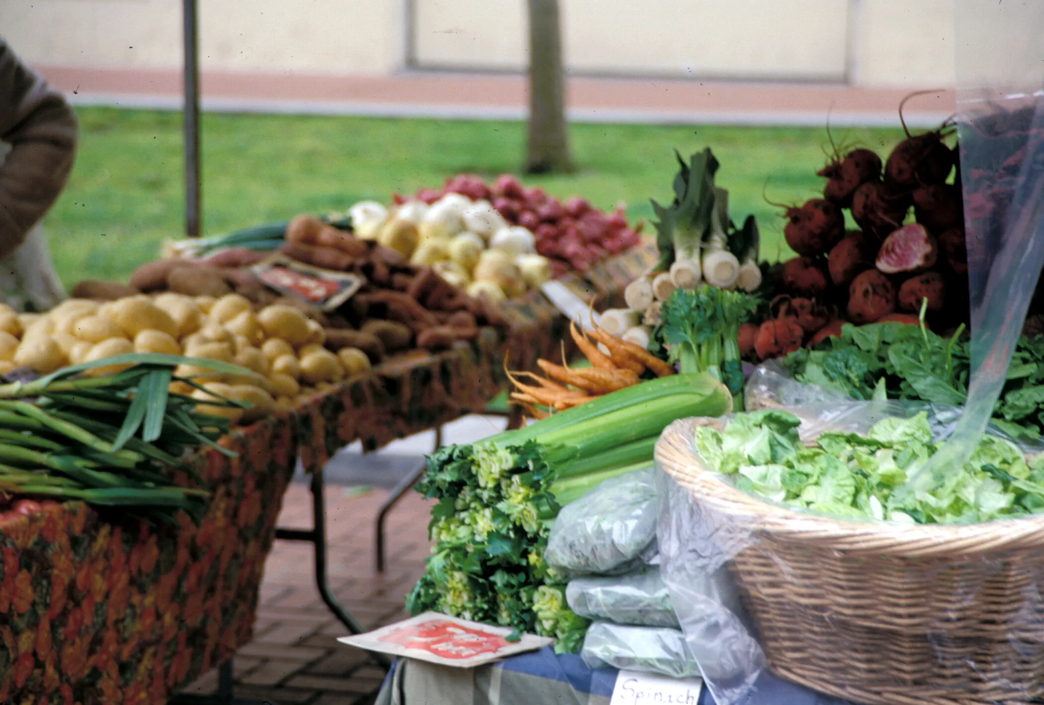 The Best of the Bay Tasting Event to Feature Unforgettable Local Food and Drink