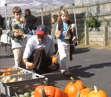 Home, Sweet Neighborhood