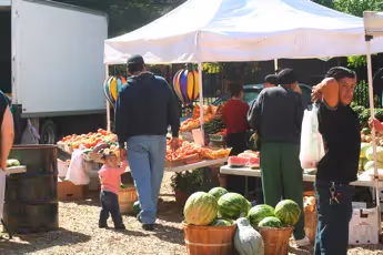 The Future of Markets