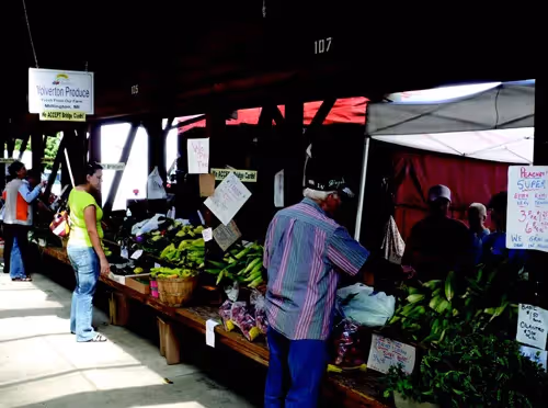 Seven Steps for Creating a Successful SNAP/EBT Program at your Farmers Market